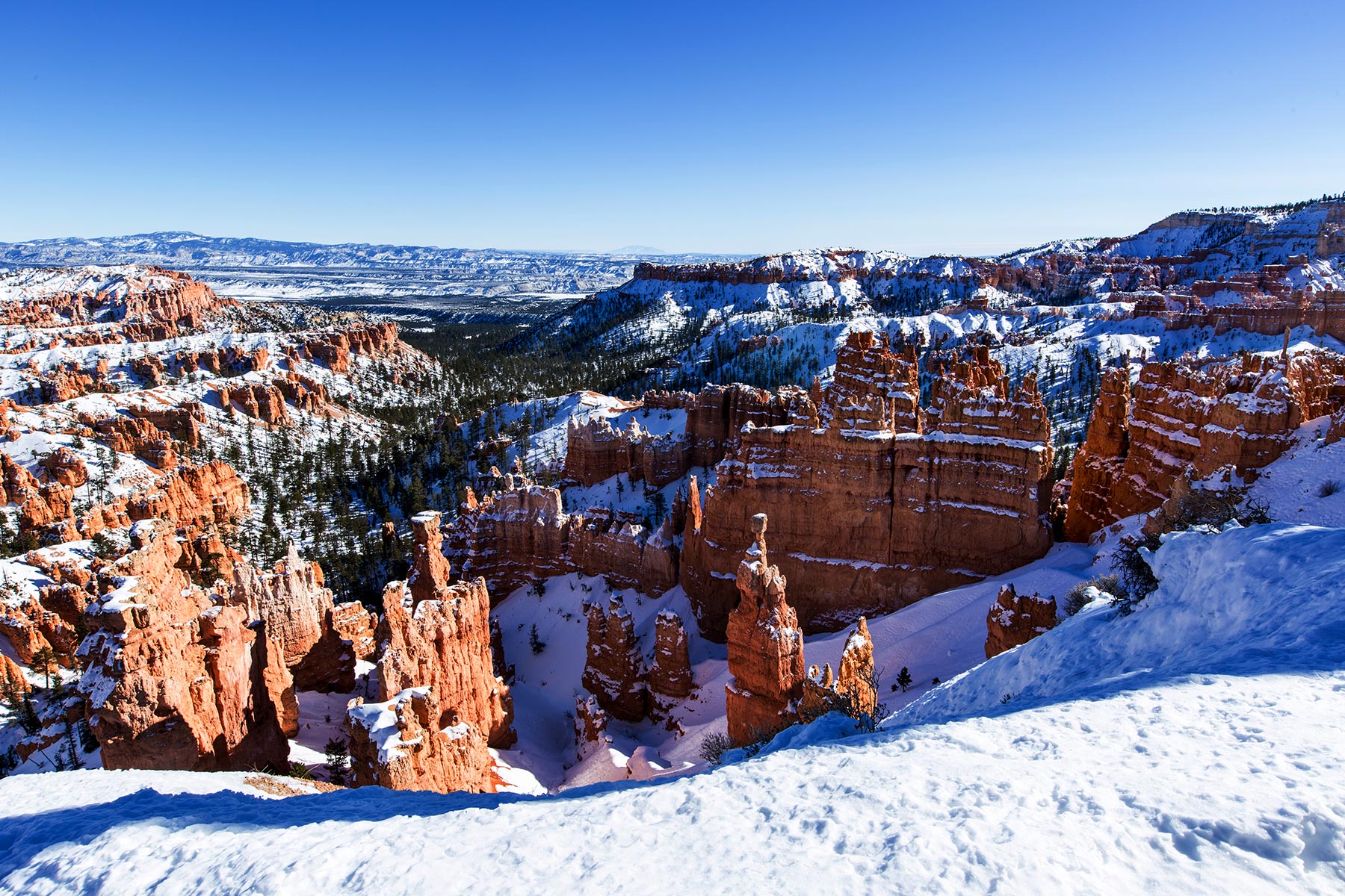 Bryce Canyon National Park in the winter